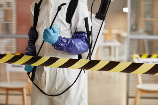 Professional Sewage Cleanup technician working in Candia, NH